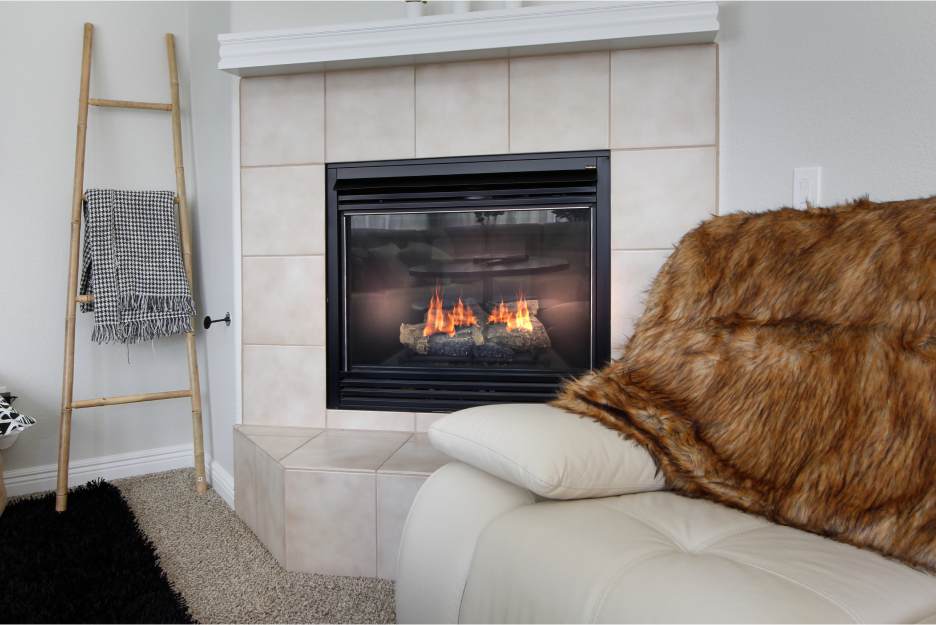 gas fireplace insert